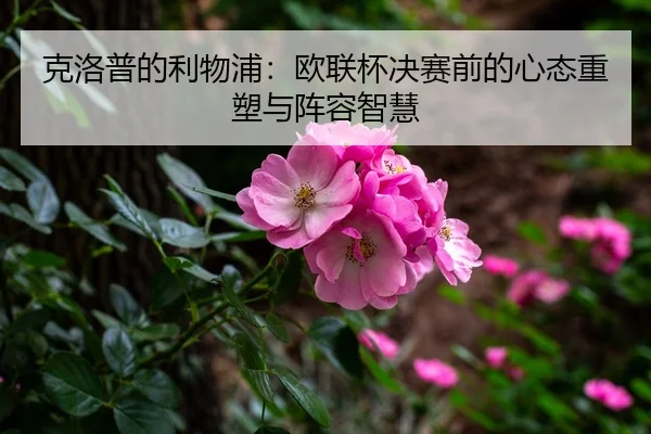 ke-luo-pu-de-li-wu-pu-ou-lian-bei-jue-sai-qian-de-xin-tai-zhong-su-yu-zhen-rong-zhi-hui-3-679.jpg